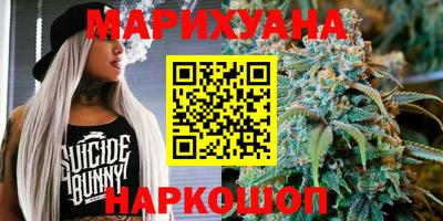 амф Гусев