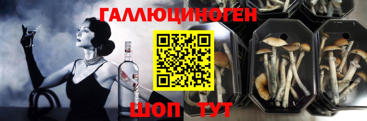 Луга  Галлюциногенные грибы Cubensis  Вход с VPN 